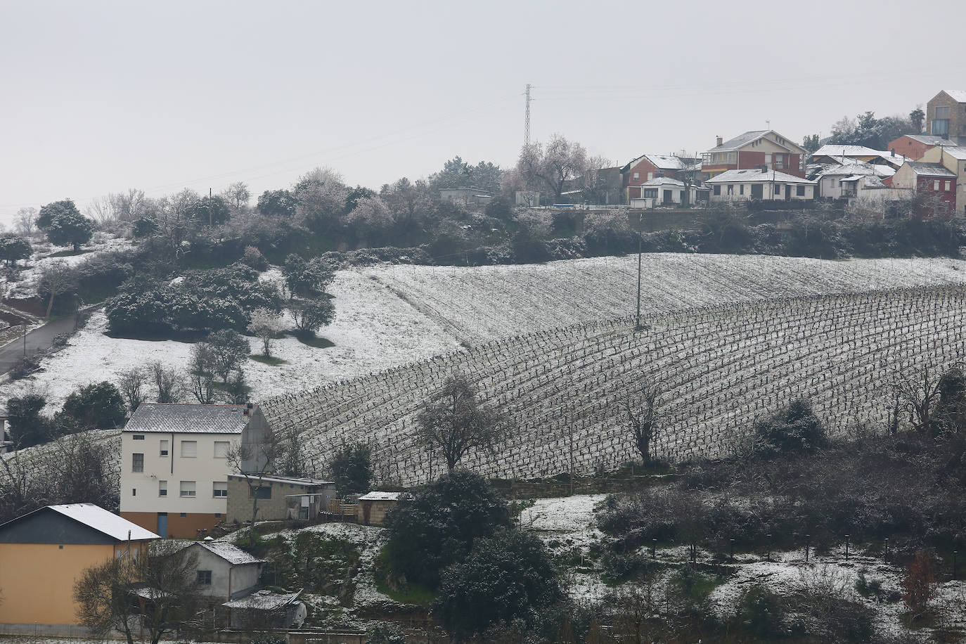 El temporal ha permitido que la capital berciana se tiñera de blanco en la mañana de este sábado